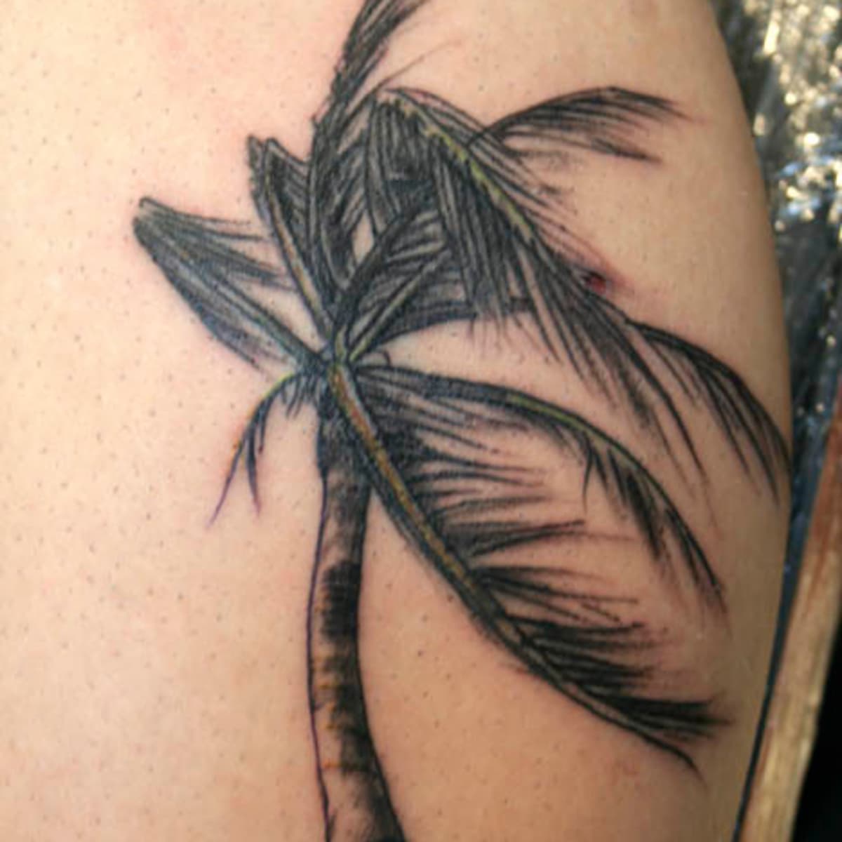 Meaningful Tree Tattoo Ideas full of Inspiration  Tattoo Glee