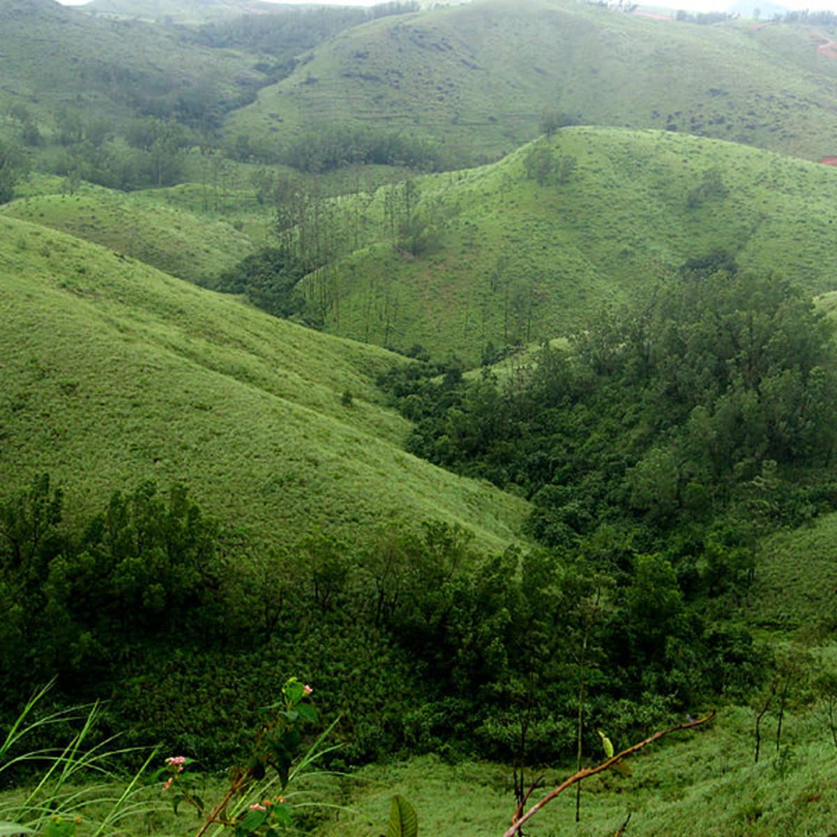 Trails for Trekking. Chithirapuram | by Mountain Trail | Medium