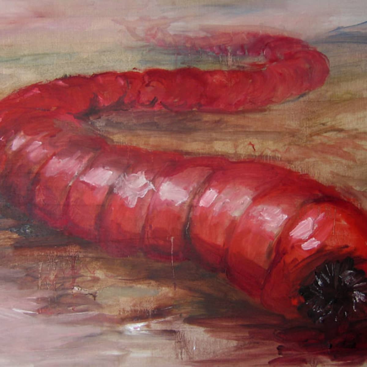 Olgoi-Khorkhoi (Allergorhai-horhai) – The Mongolian Death Worm of the Gobi  Desert - HubPages