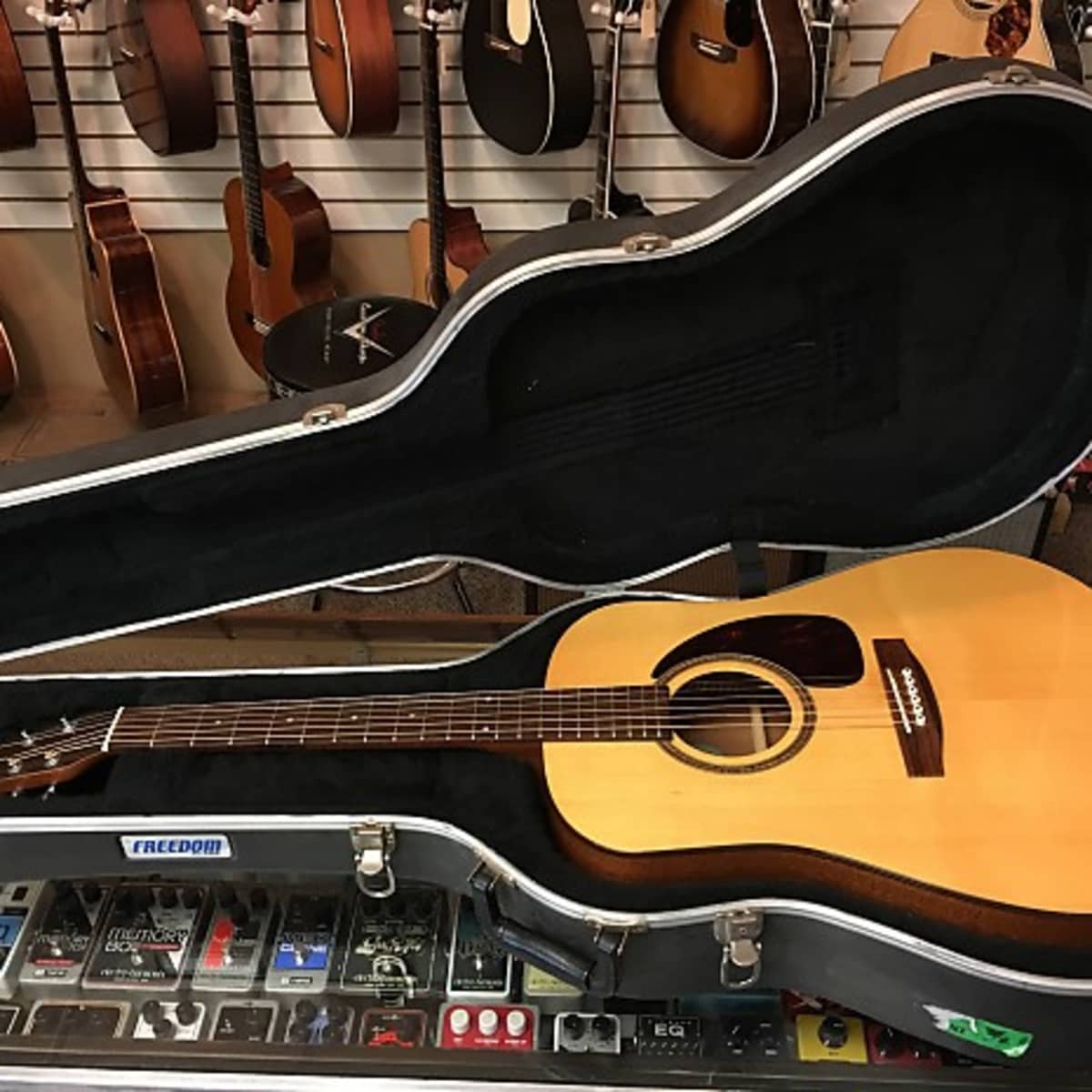 The Seagull M6 Acoustic Guitar - HubPages