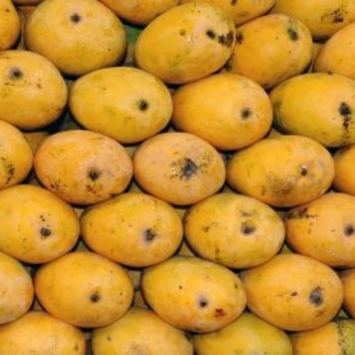 The Health Benefits of Mango - HubPages