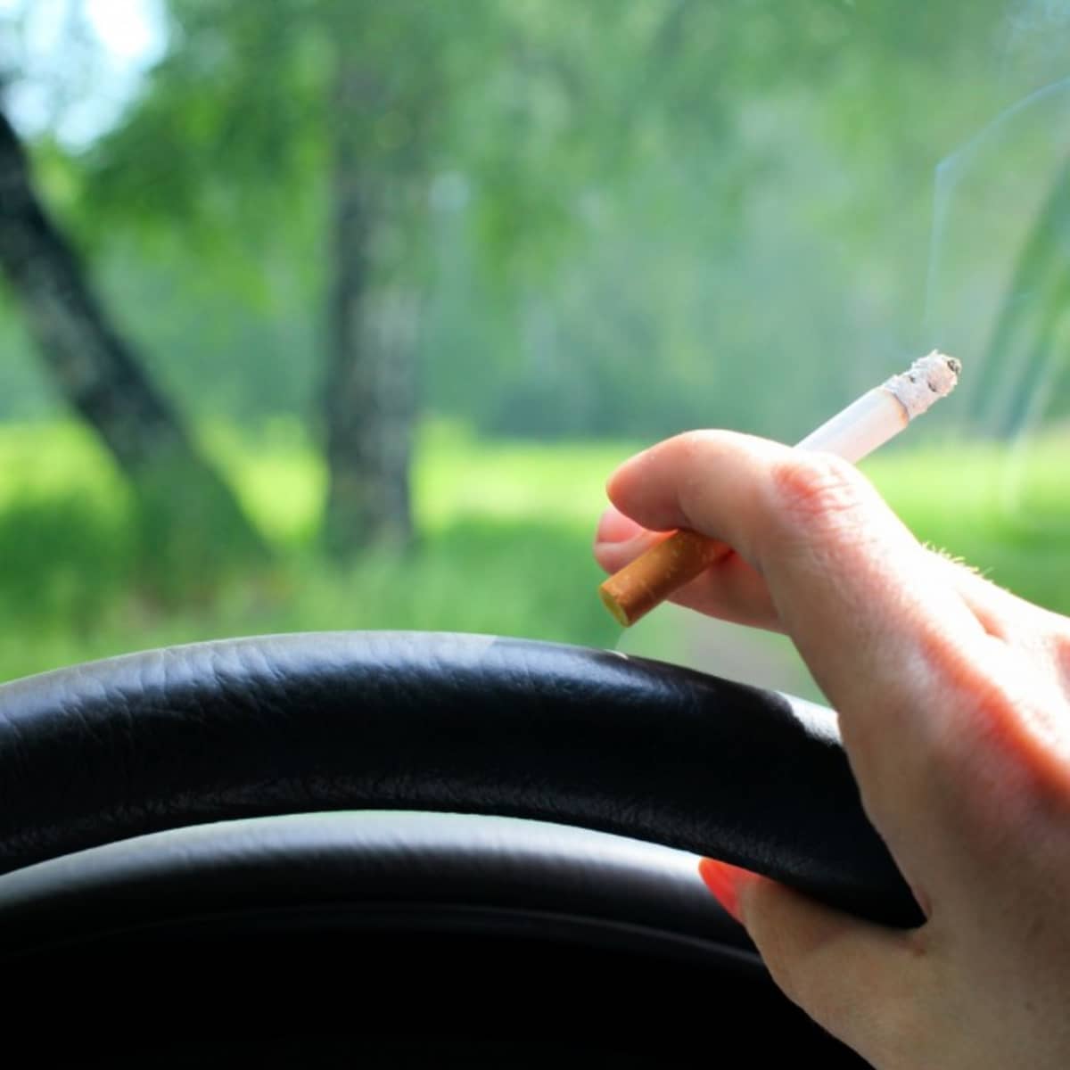 how to roll cigarette filter How To Roll a Cigarette Like a Pro