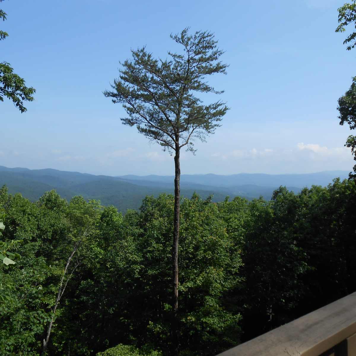 Resort Living: A Review of Big Canoe, Georgia - HubPages
