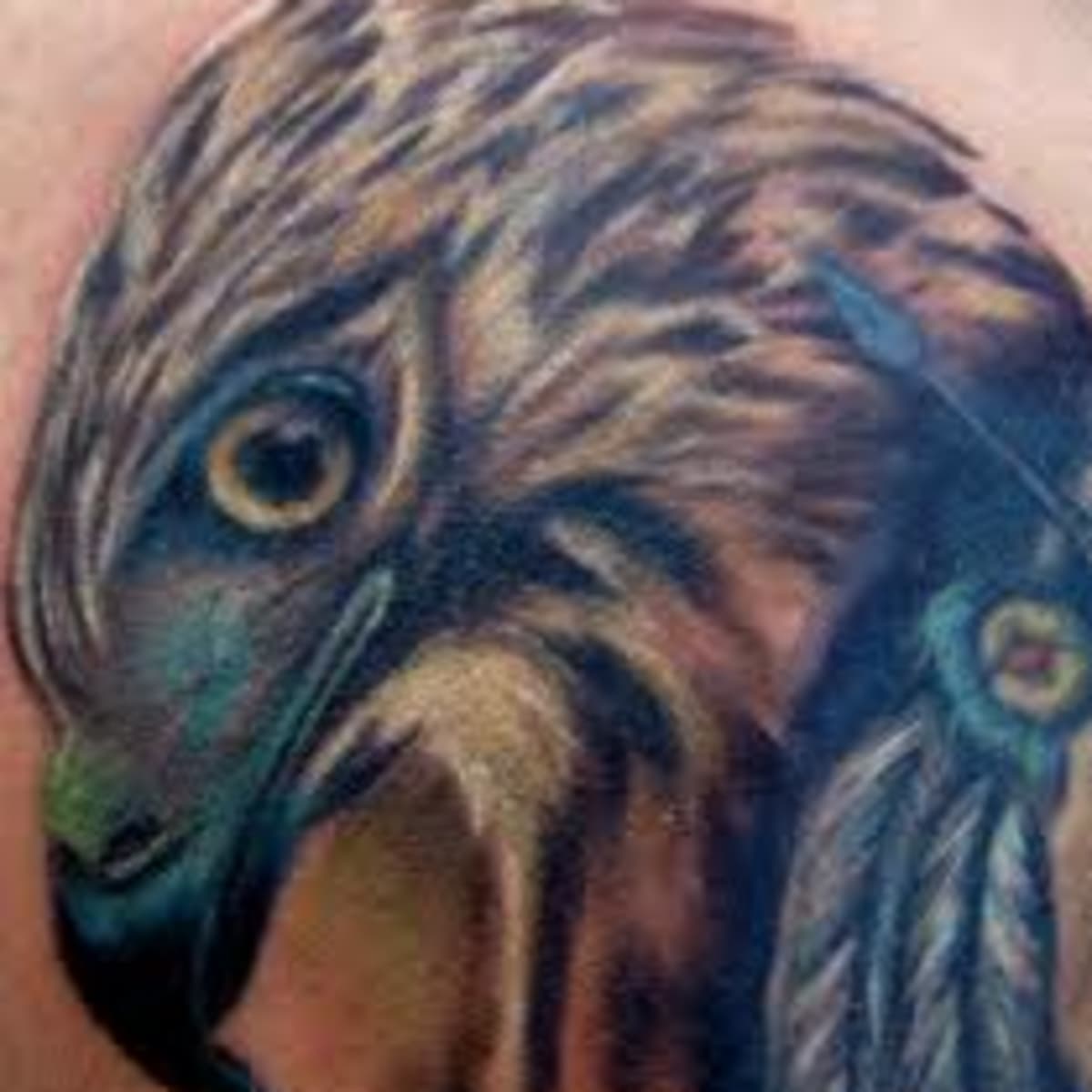 20 Nice Hawk Tattoo Designs