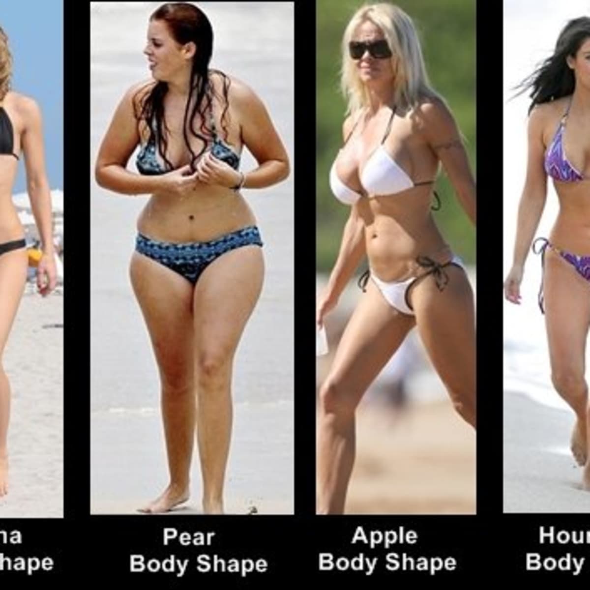 average body shape