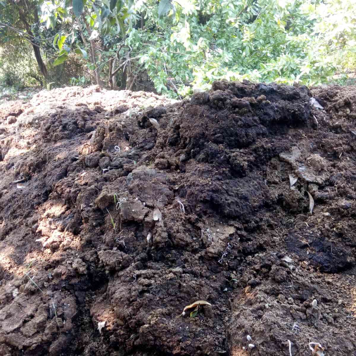 What Are The Different Types Of Compost And Which Should I Use In My Garden Dengarden Home And Garden