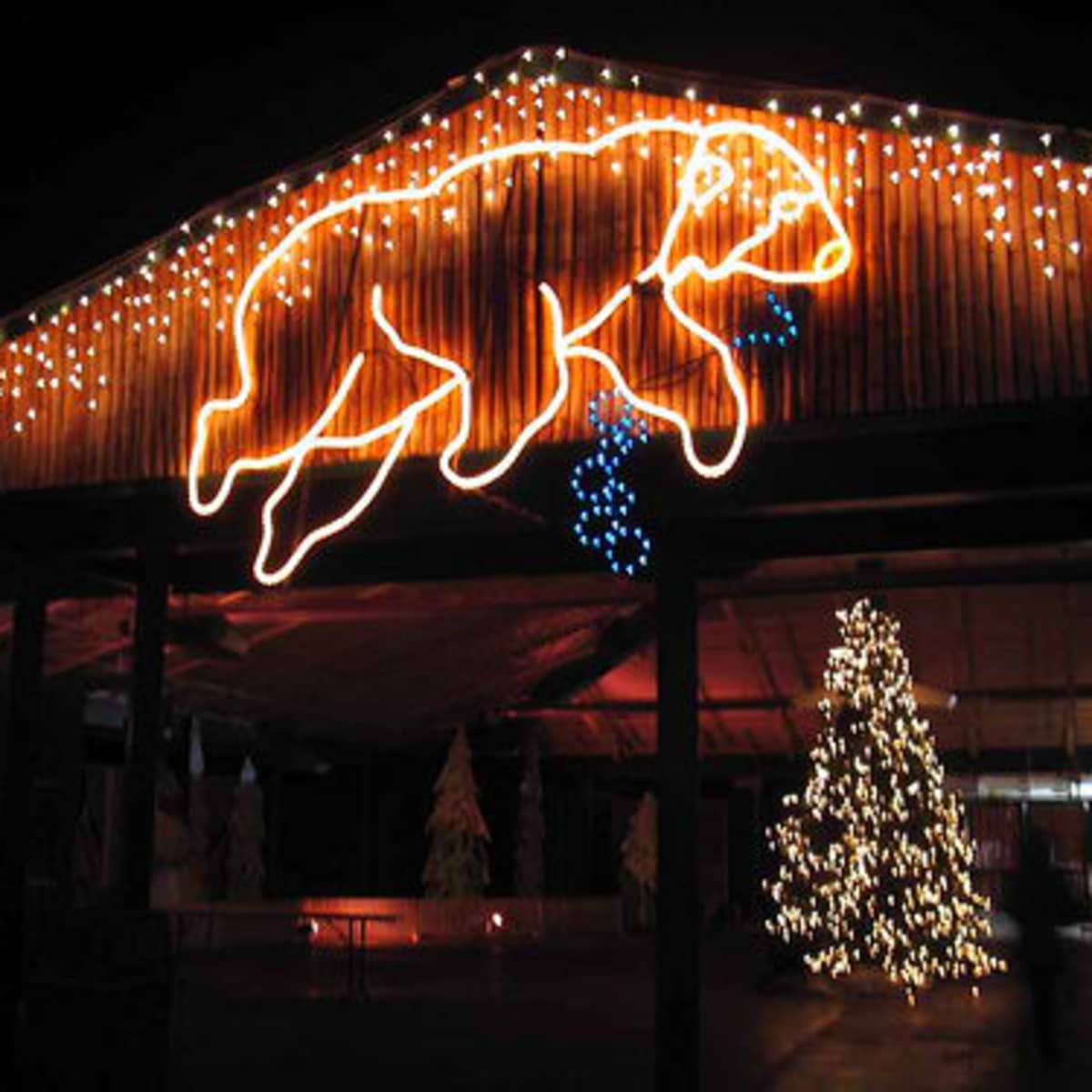 Wild Lights With The Columbus Zoo