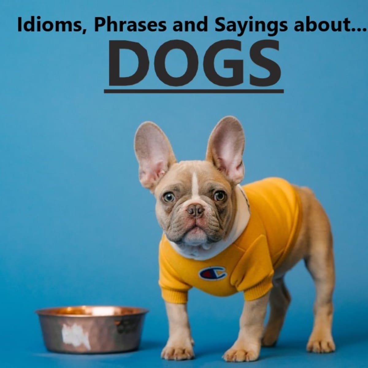50+ Dog Idioms and Phrases in the English Language - Owlcation