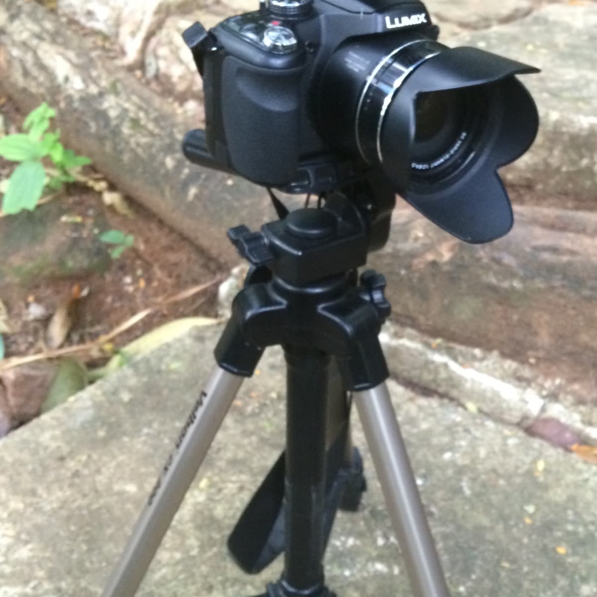 The Panasonic Fz300 - the Most Versatile Bridge Camera Ever? - HubPages
