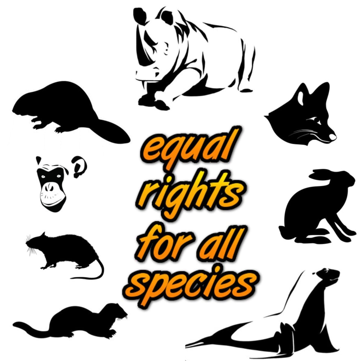 The Animal Rights Controversy - Soapboxie