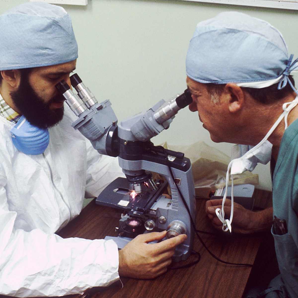 What Happens to a Biopsy After It Is Taken? - Owlcation