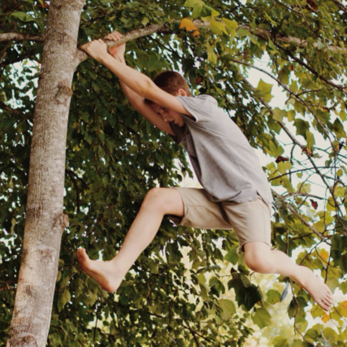 Climbing Trees Help to Build Confidence to Face Life's Challenges