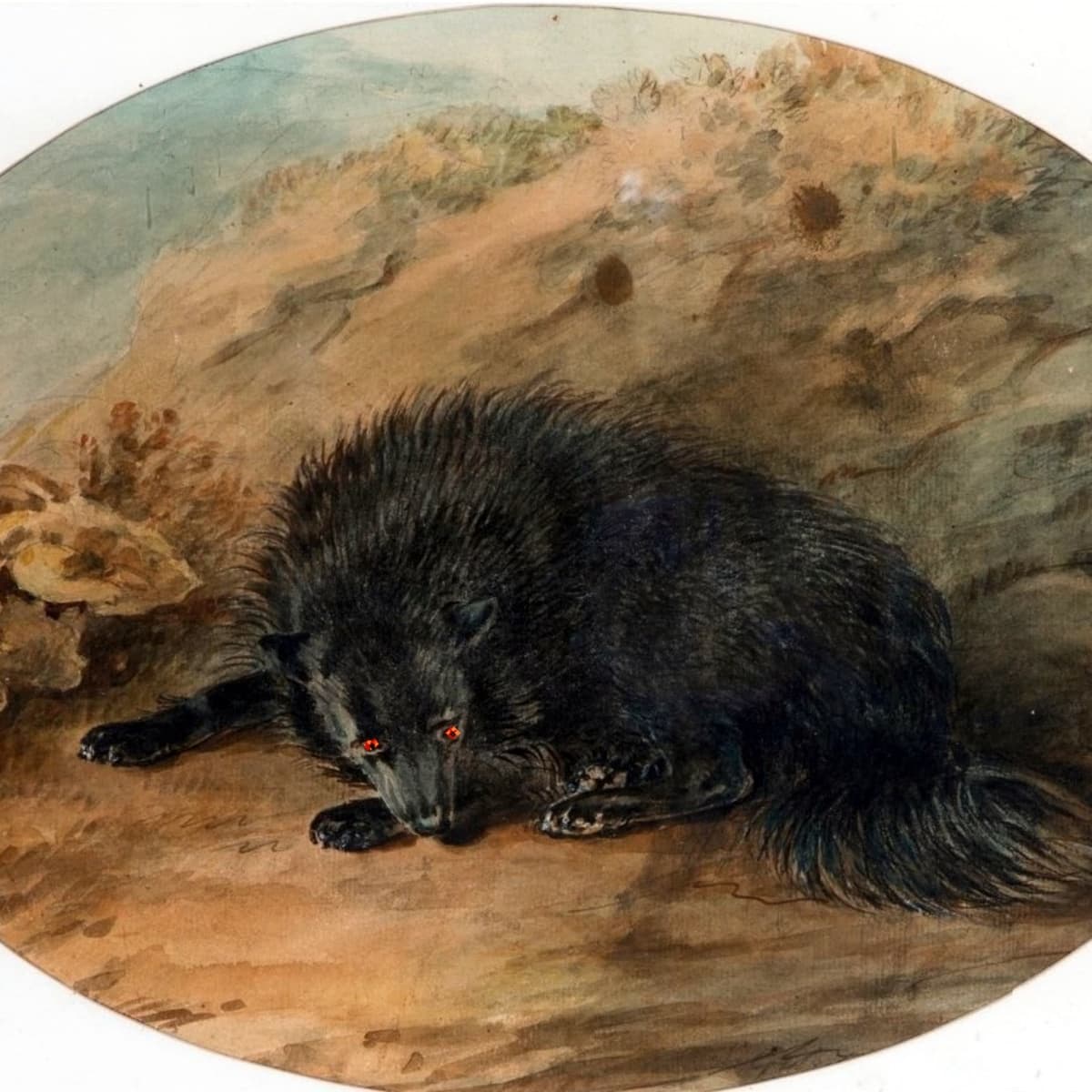 Black Dogs - The Terrifying Hellhounds From British Legends (British  Mythology Explained) 