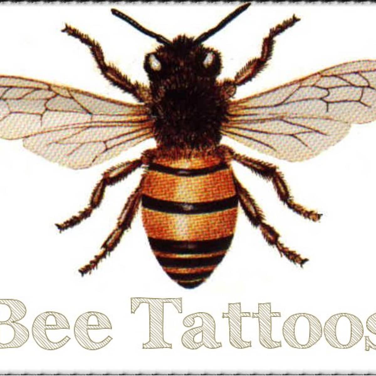 Honey Bee Cartoon Tattoos  Bee tattoo Bumble bee tattoo Bee tattoo  meaning
