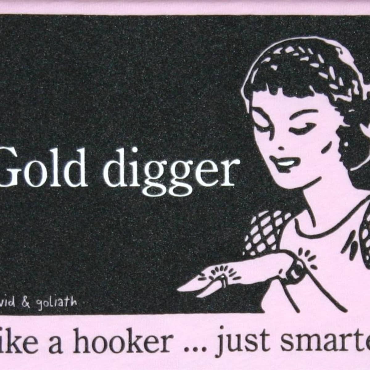 What is the meaning of She's a gold digger ? - Question about