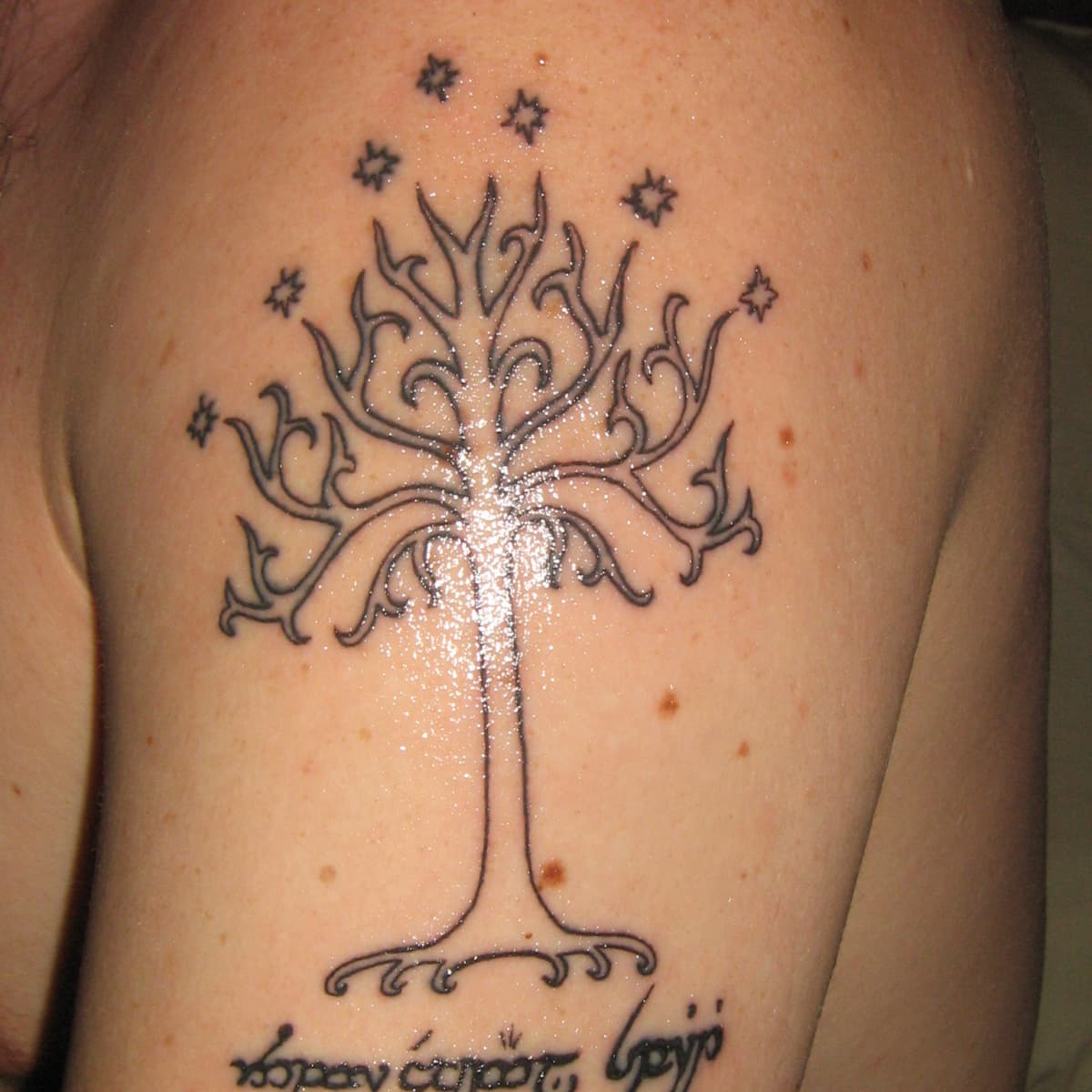 Lord of the Rings tattoo idea The White Tree of Gondor with Estel Lotr  White Tree HD phone wallpaper  Pxfuel