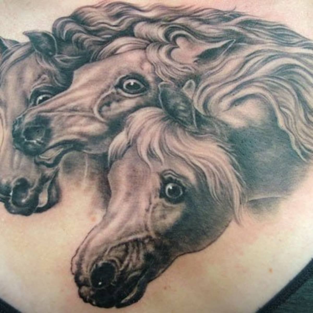 Horse Tattoo Design Ideas - HubPages