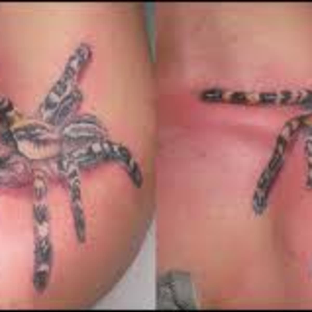 Spider web inside the arm spider tattoos  TikTok