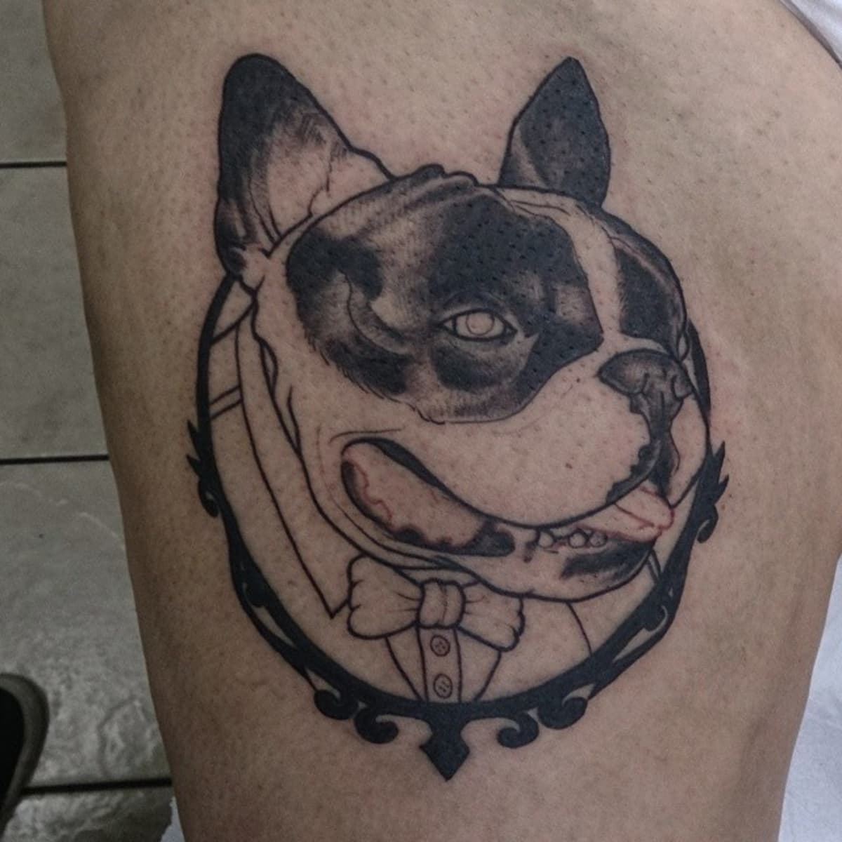 14 Best Traditional tattoo dog ideas  traditional tattoo dog traditional  tattoo dog tattoos
