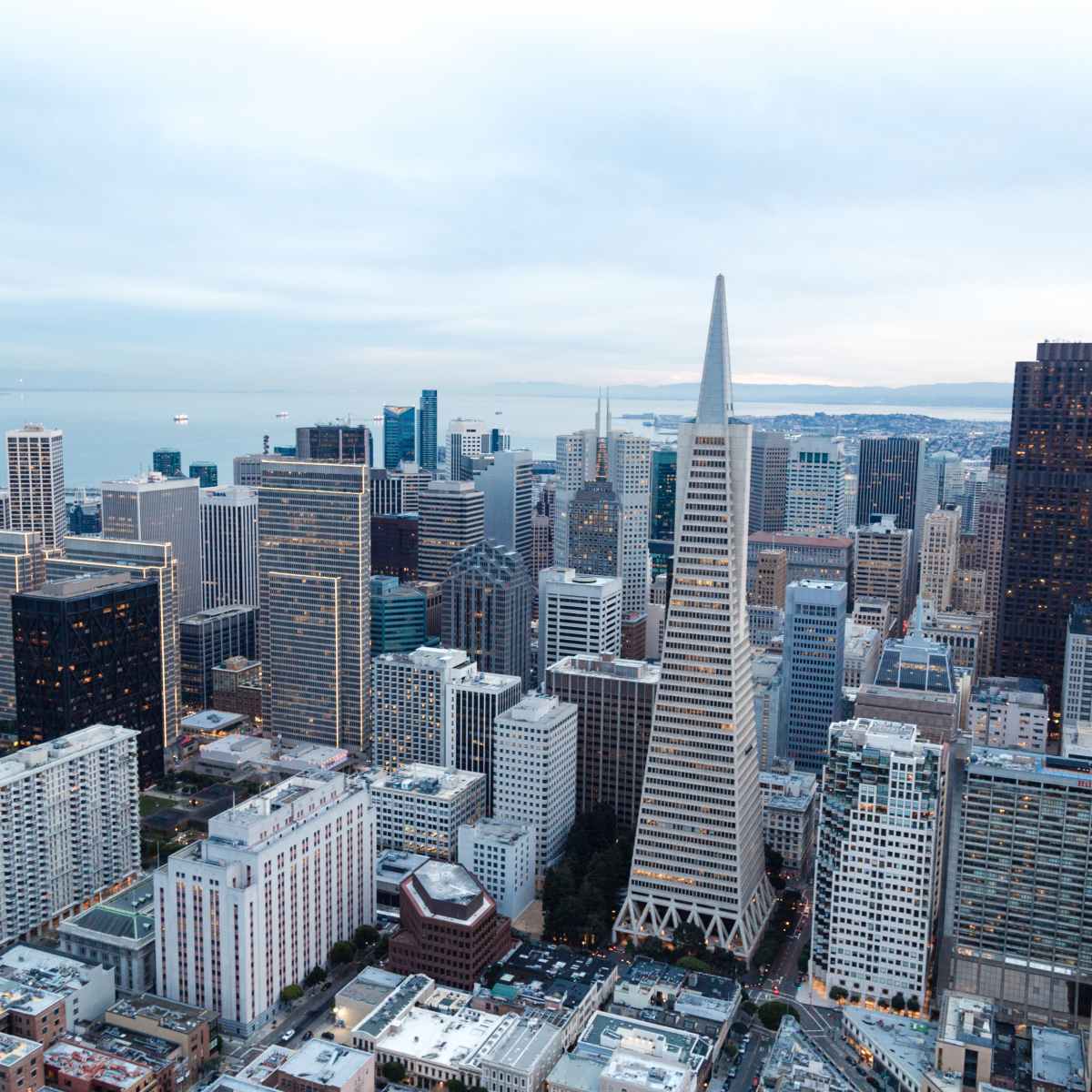 Top 5 Nursing Schools in the San Francisco Bay Area - Owlcation