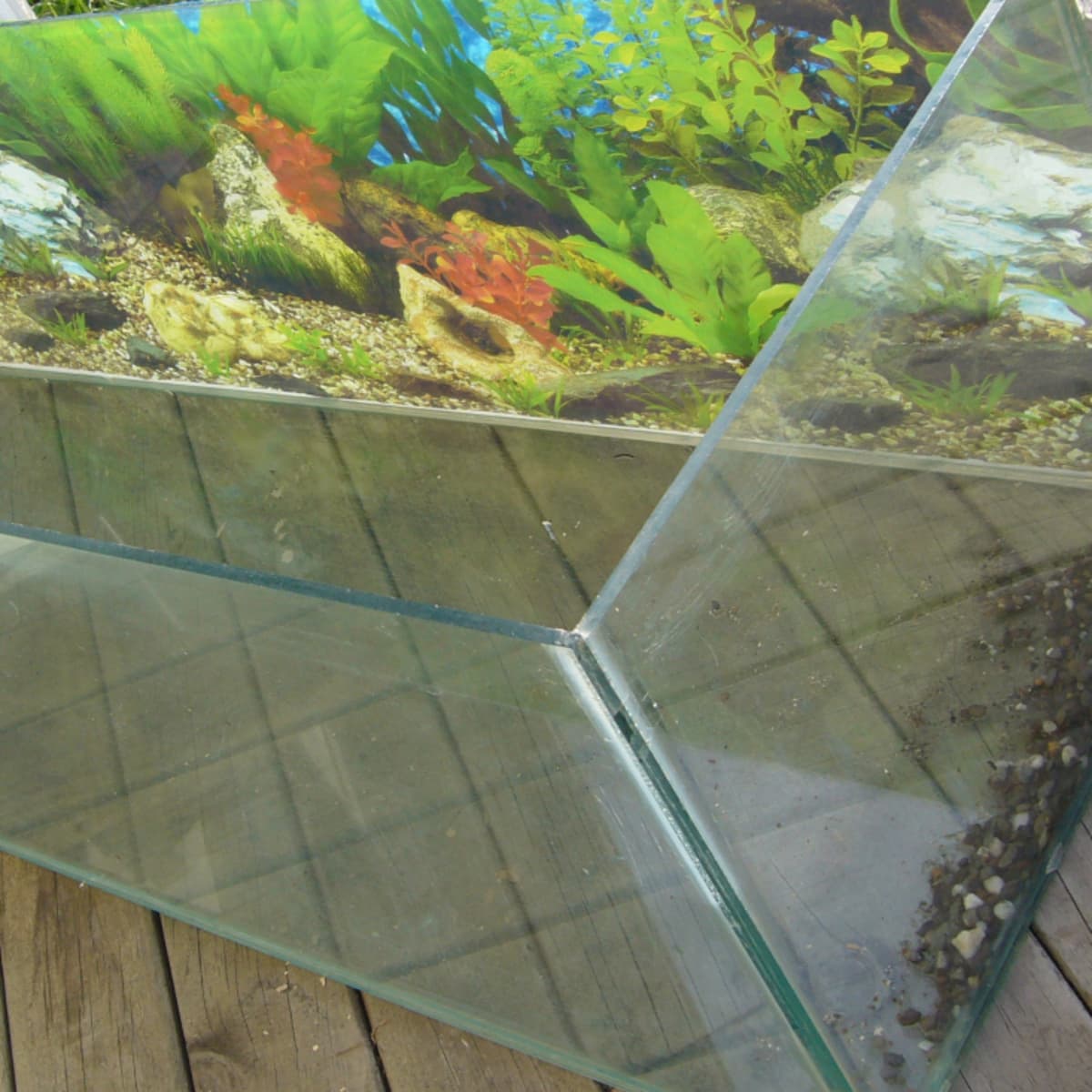 How to Clean Old Aquarium Glass? 