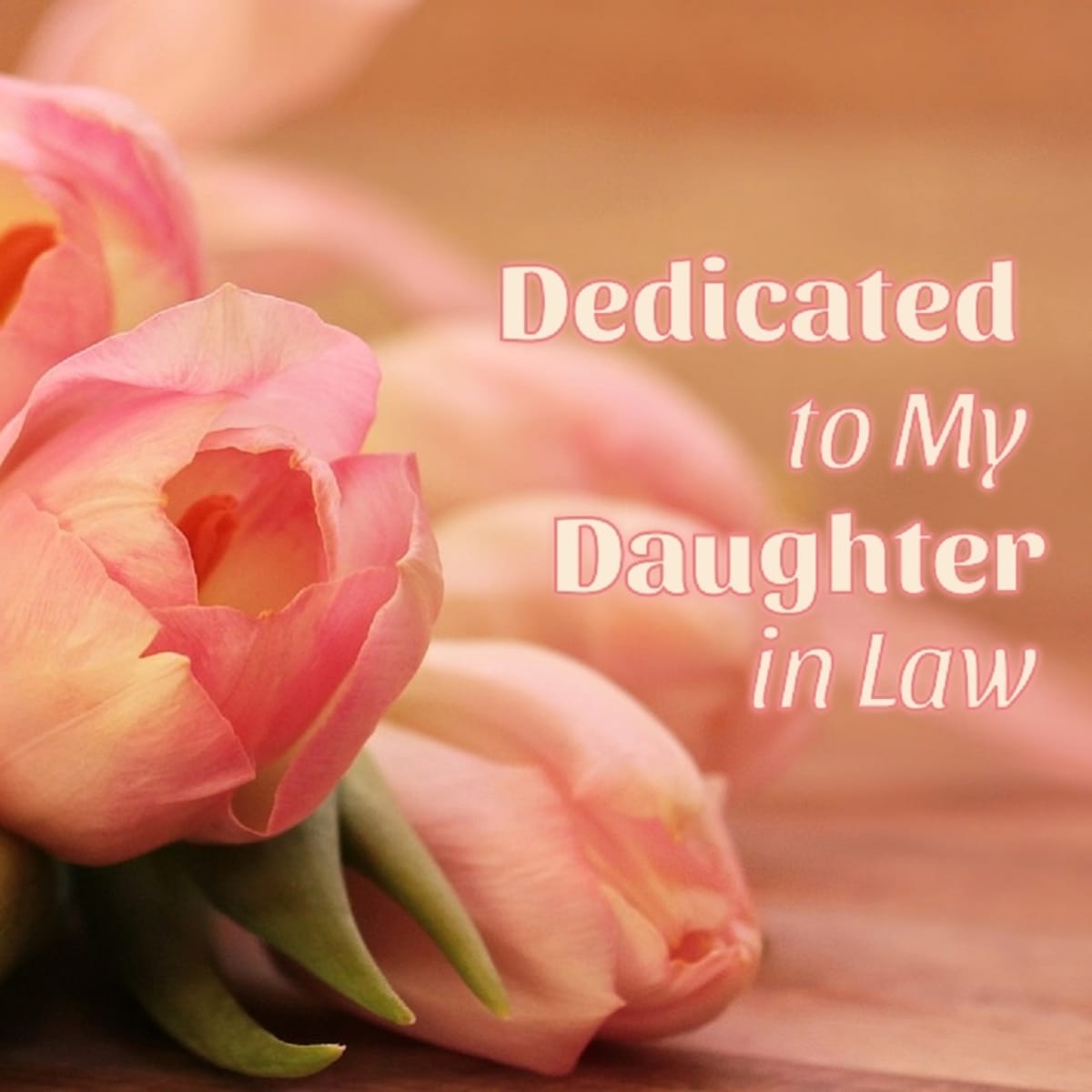mother in law poems from daughter in law