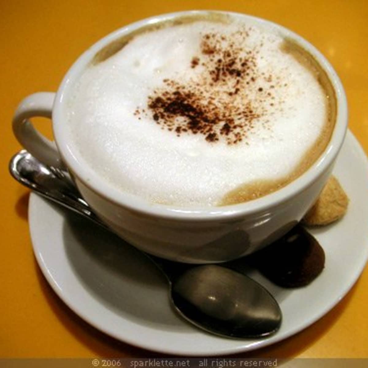 https://images.saymedia-content.com/.image/ar_1:1%2Cc_fill%2Ccs_srgb%2Cfl_progressive%2Cq_auto:eco%2Cw_1200/MTczOTIyMzkzMTgwOTM5MzI4/cappuccino-moccacino-lattewhat-the-hells-the-difference.jpg