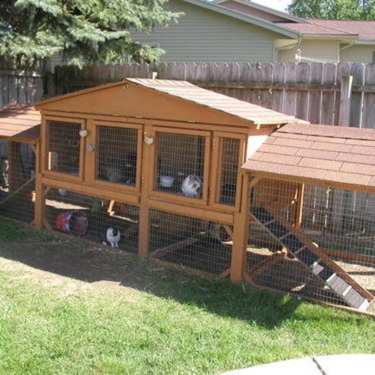 How to Build the Perfect Bunny Hutch - PetHelpful