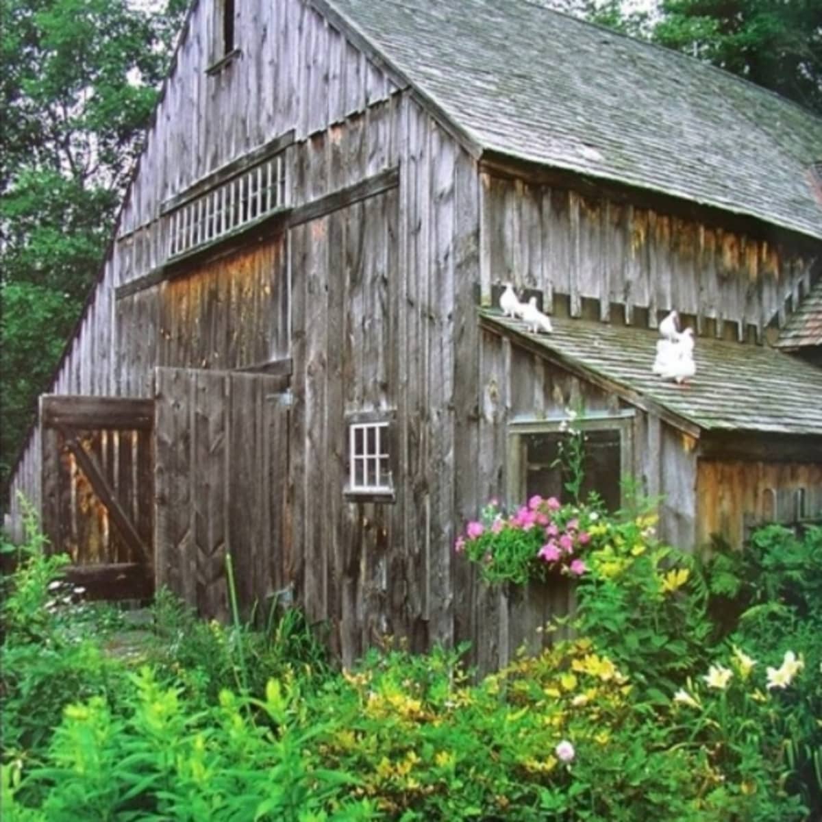 Tasha Tudor Garden Tour Fasci Garden