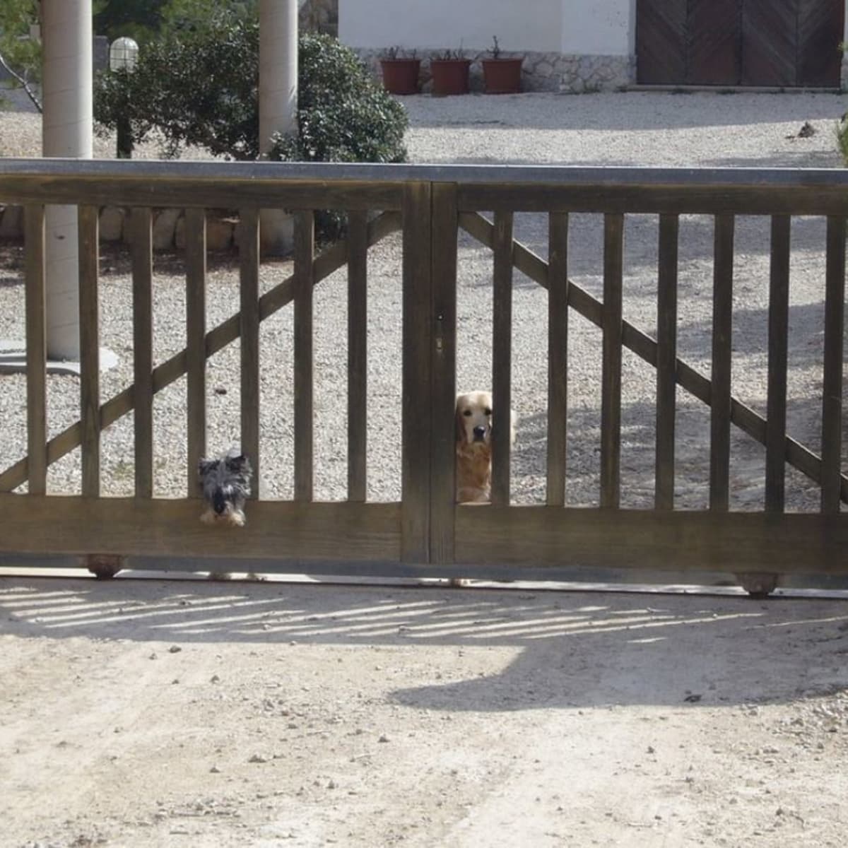 how to stop a dog from going under the fence