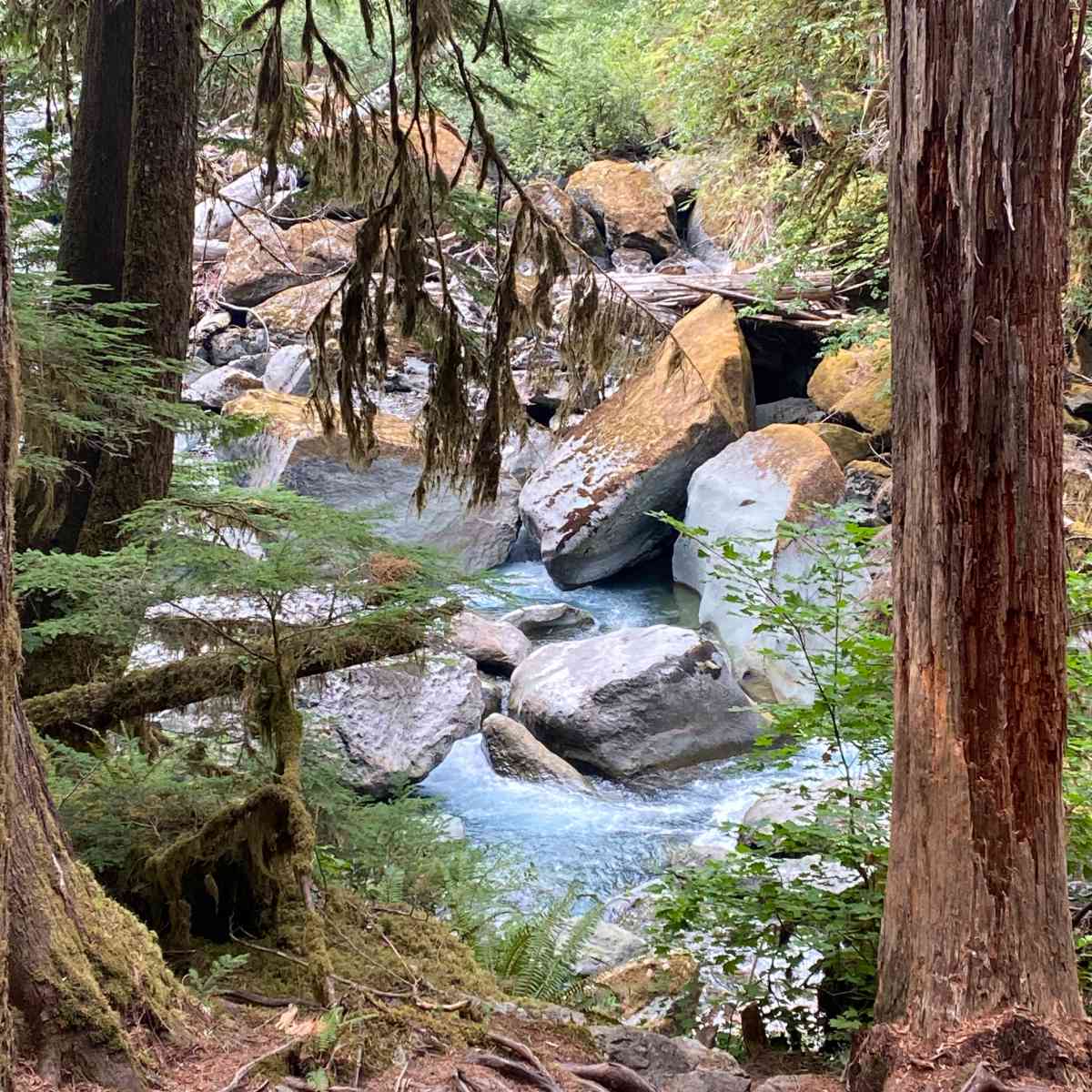 staircase hike olympic