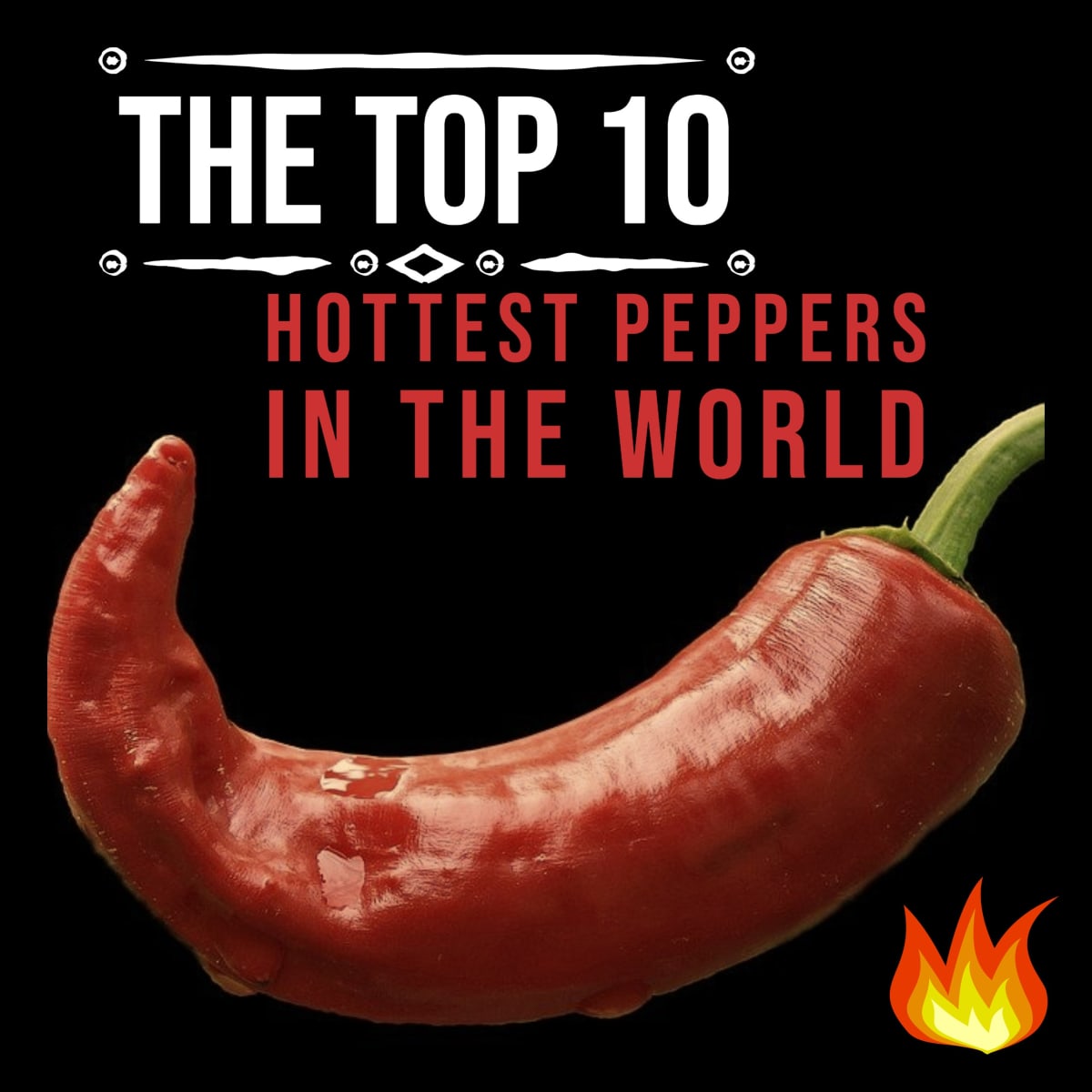 Top Hottest Peppers in the World