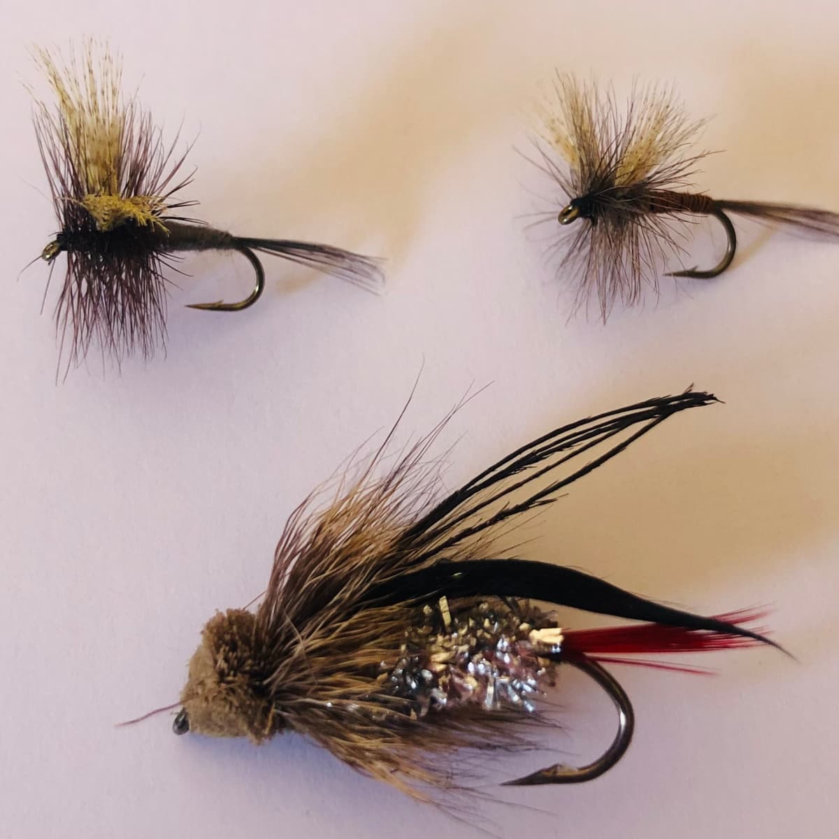 18 Best Trout Flies for March, April, and May: Spring Fly Fishing - The Fly  Crate