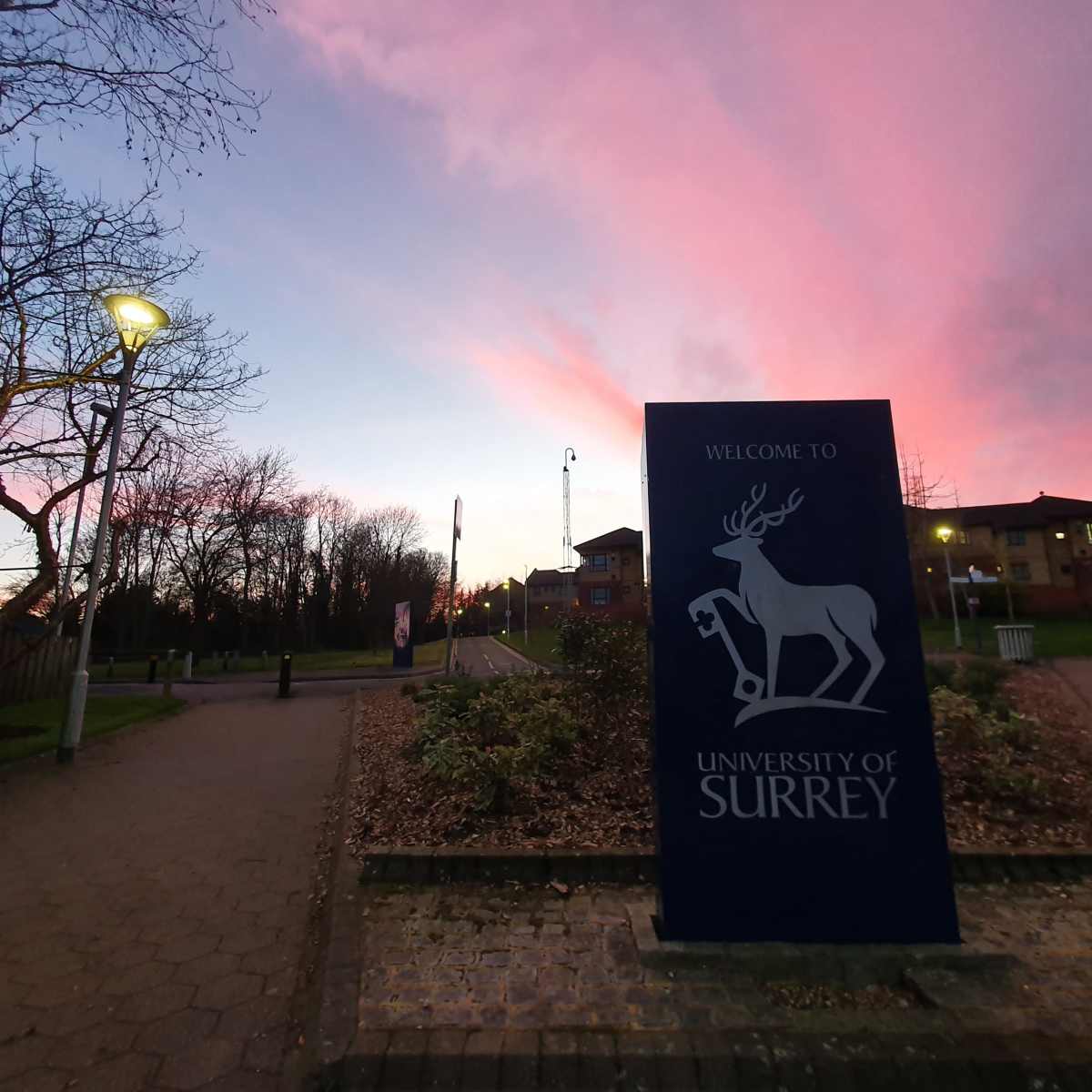 University of surrey hi-res stock photography and images - Alamy, image size:1200x1200