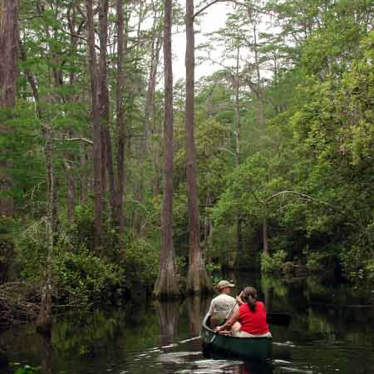 Exploring America's Swampiest State :: The Florida Adventure Trail -  Expedition Portal