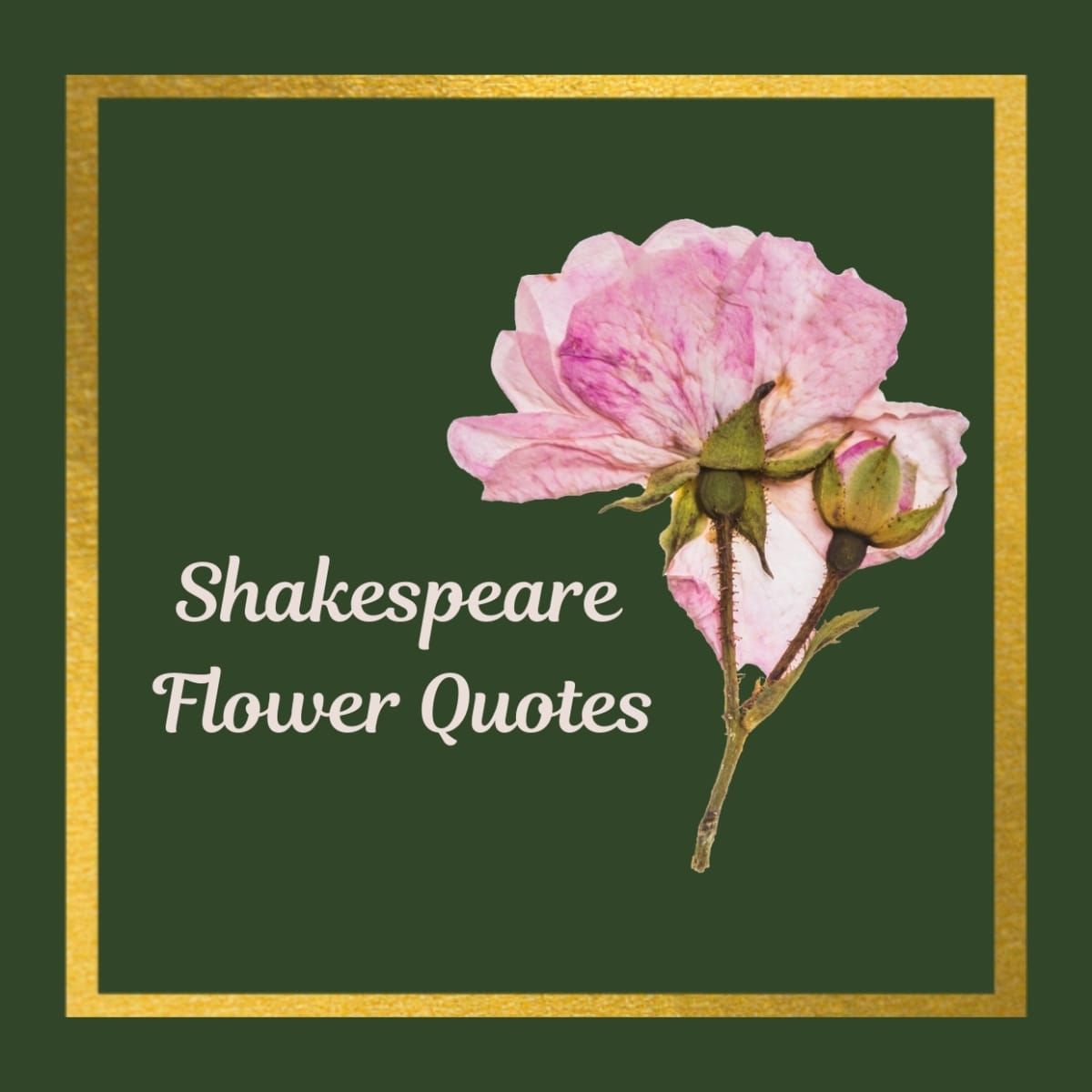 100 Shakespeare Flower Quotes - Owlcation