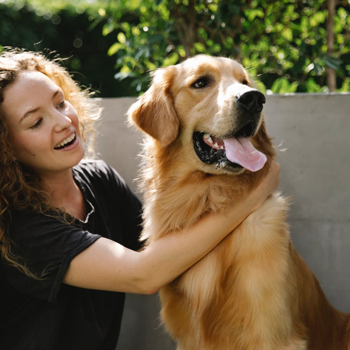 are golden retrievers good family dogs