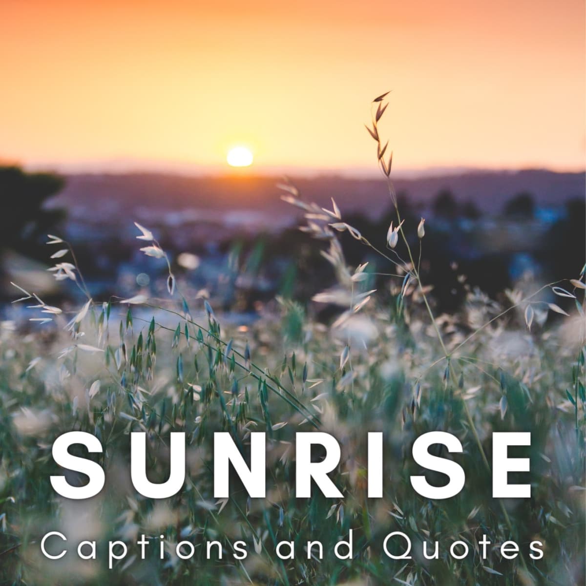 beautiful sunrise scenery with quotes