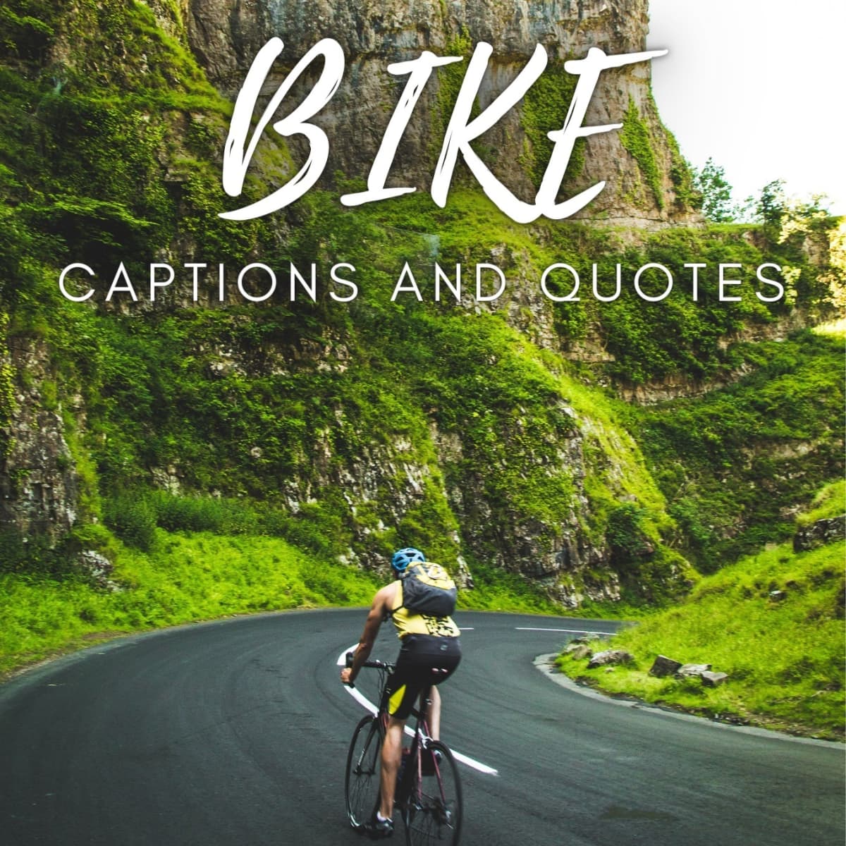 bicycle quotes inspirational love