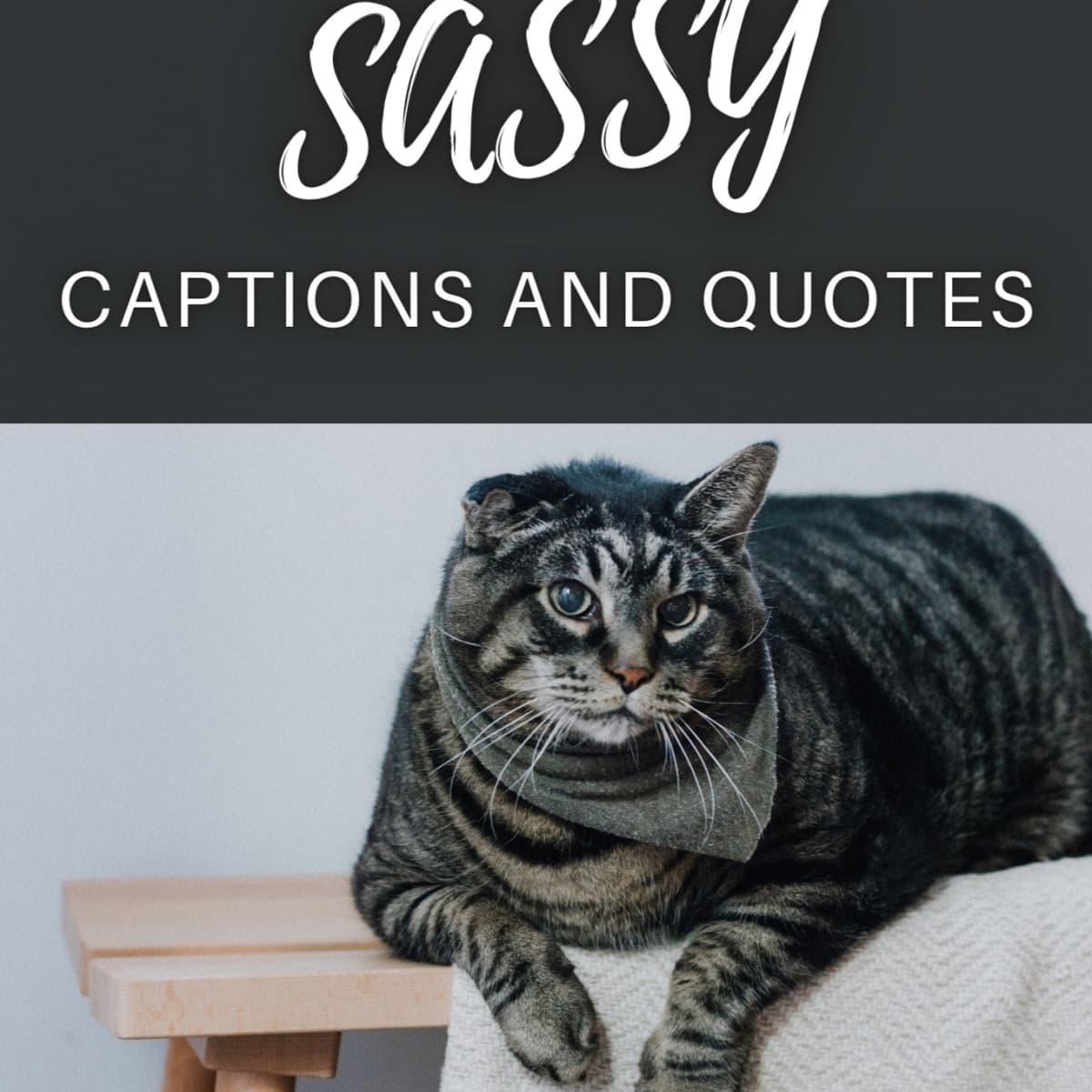 250+ Sassy Quotes and Caption Ideas for Instagram - TurboFuture
