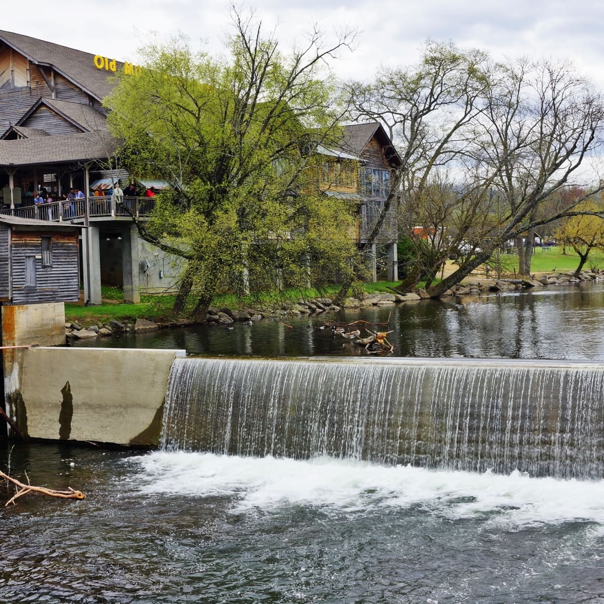 6 Fun Things to Do in Pigeon Forge and Gatlinburg