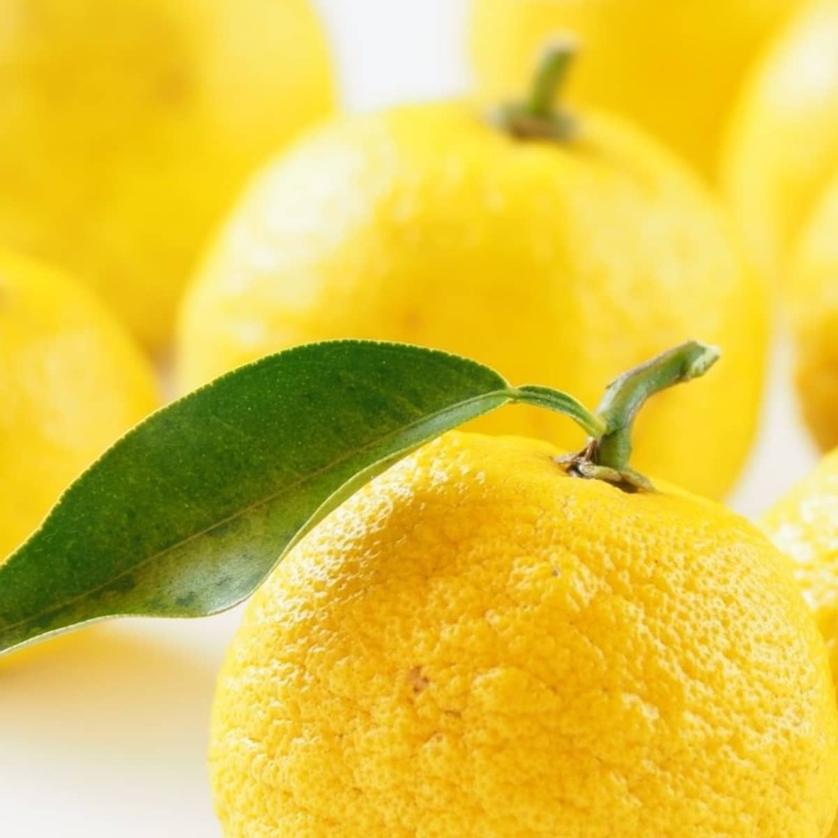 All About Yuzu. What Is It and What Does It Taste Like?