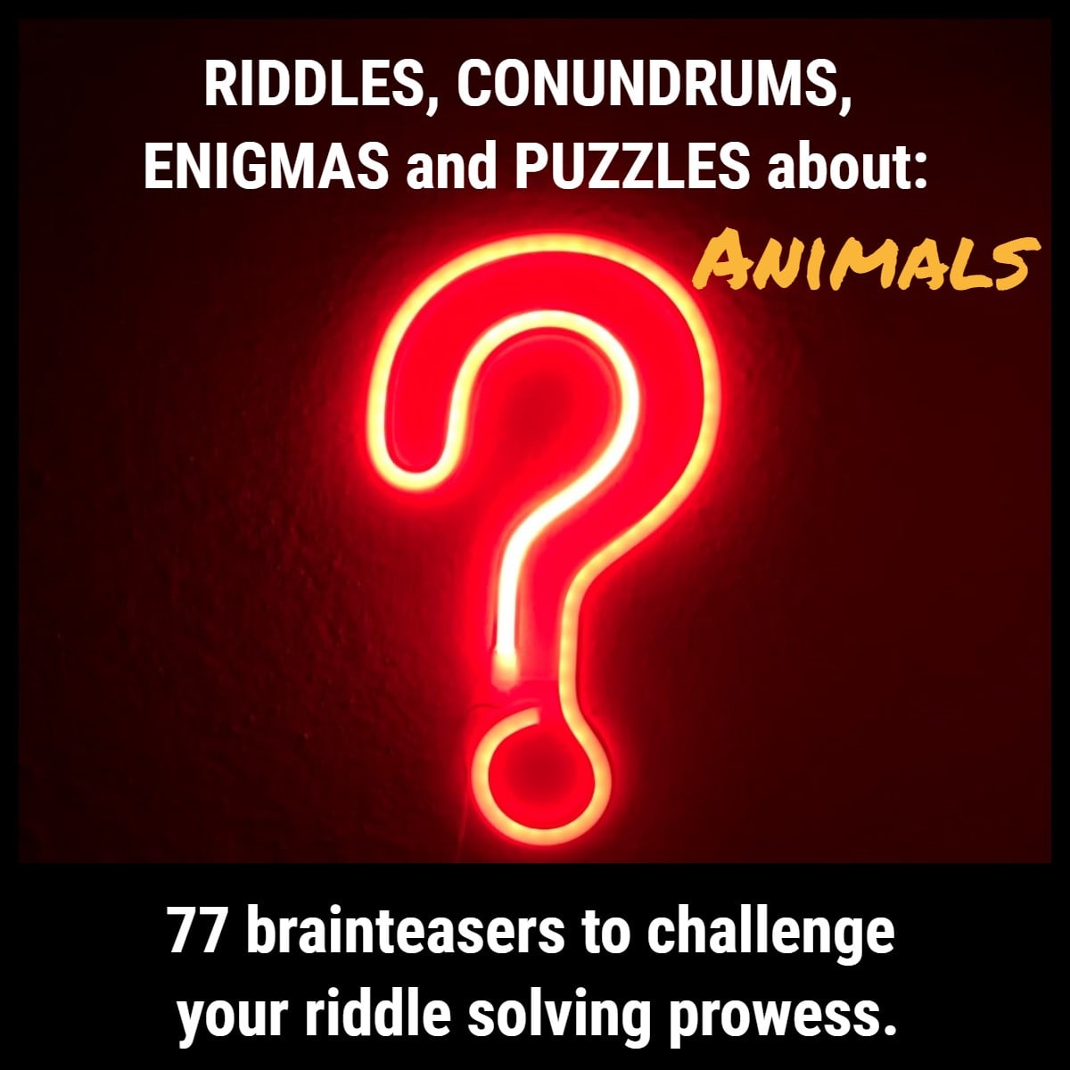 77 Animal Riddles That Will Raise a Chuckle - HubPages