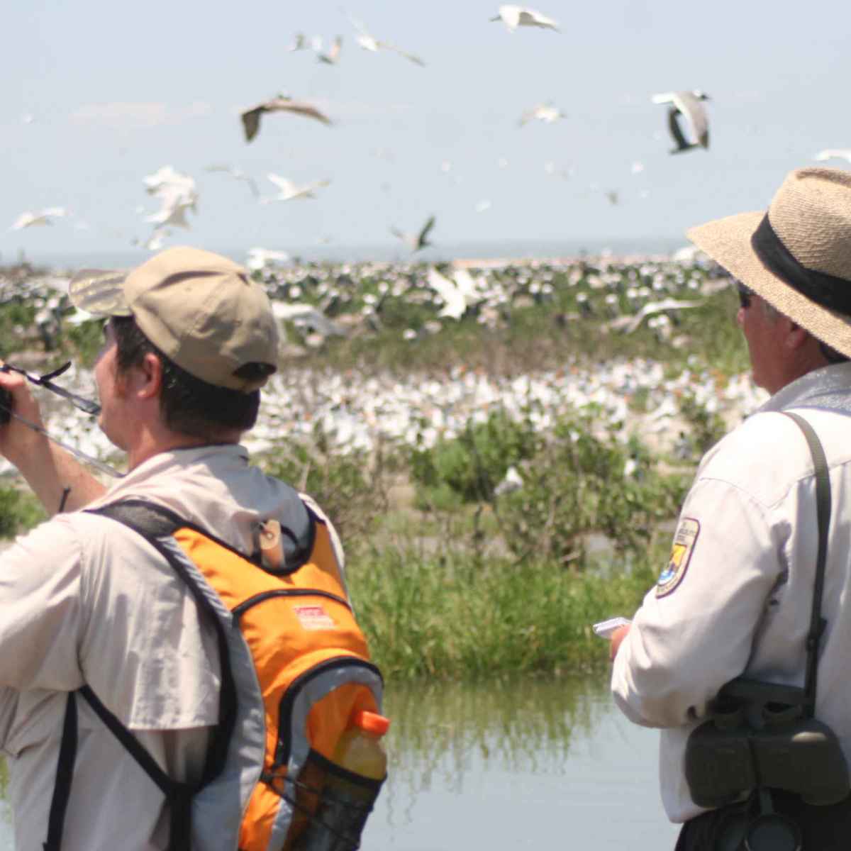 7 Great Gifts For Beginner Birdwatchers Skyaboveus