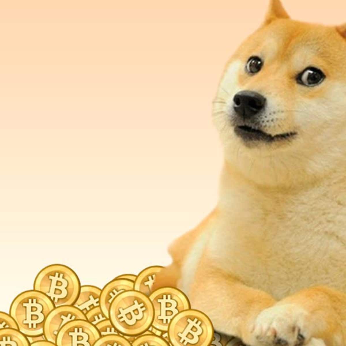 Will Doge Actually Go To The Moon? - HubPages