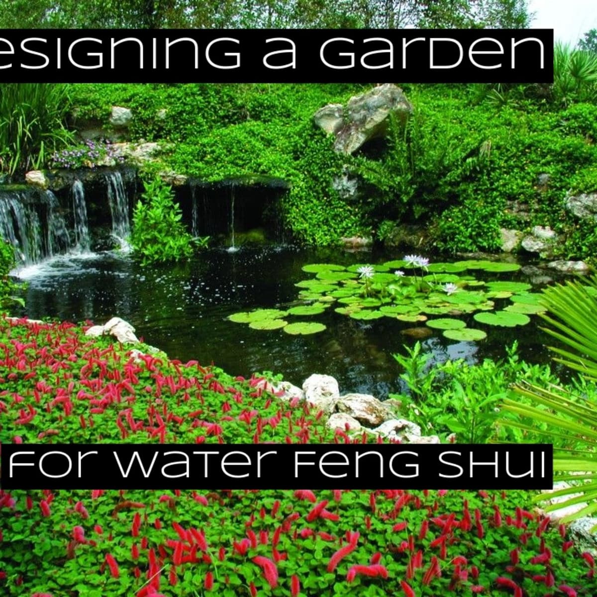 feng shui outdoor plants