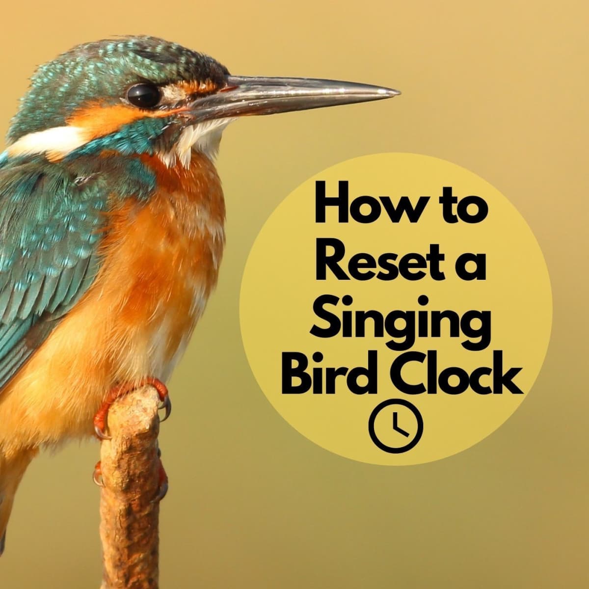 How To Reset A Singing Bird Clock Dengarden