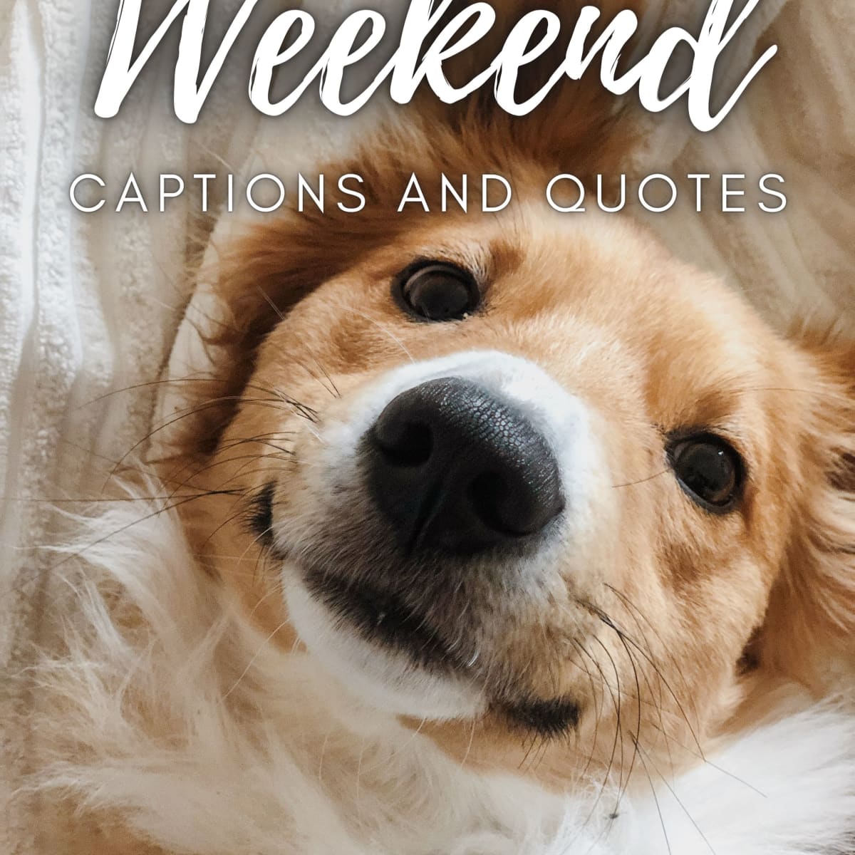 150+ Weekend Quotes and Caption Ideas for Instagram - TurboFuture