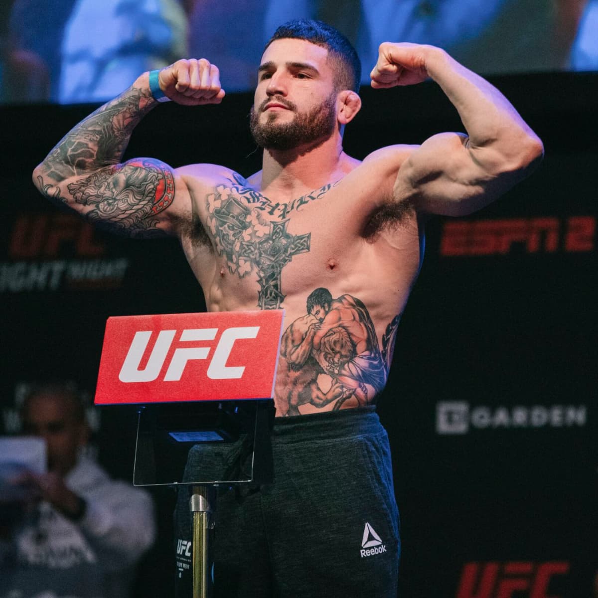 Top 5 UFC Prospects to for - HubPages