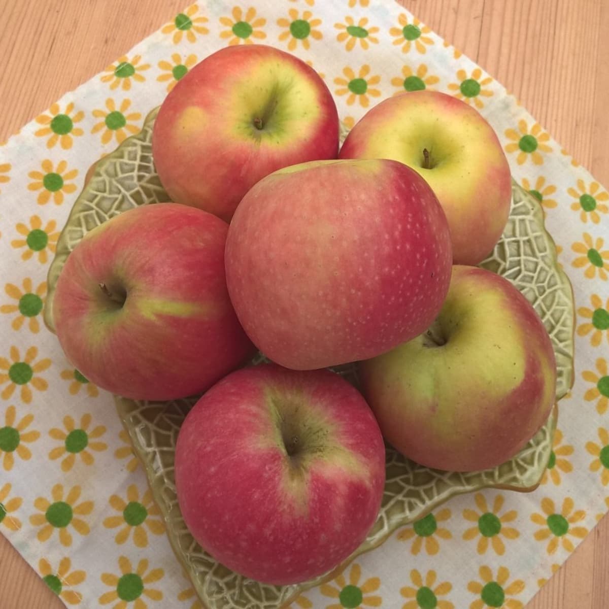 From Orchard to Plate: A Tasting Experience with Envy Apples